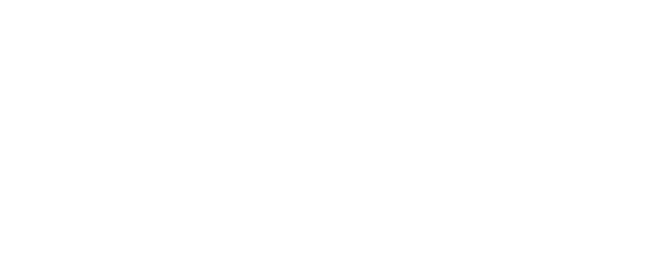 Nadácia Volkswagen